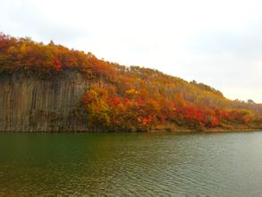 盘锦国际湿地旅游周昨开幕