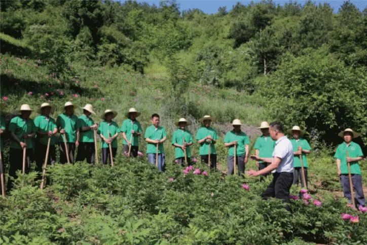 三门峡卢氏新坪村：旅游开发促脱贫?乡村治理结硕果