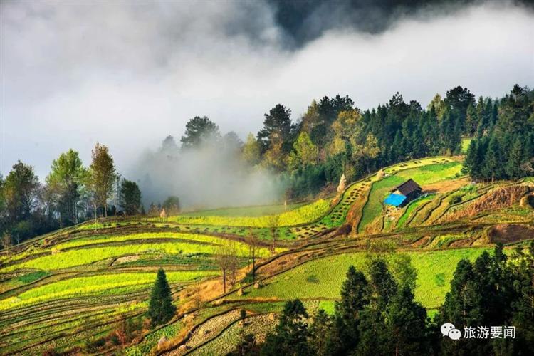 云南首个数字文旅推荐官“彩云”5月19日正式上线