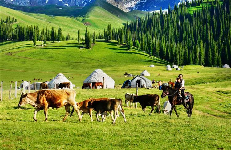 时光不负 跟着季节去旅游