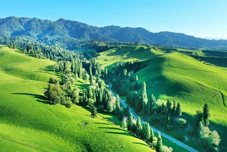 大众研学旅行兴起 市场引发业界关注