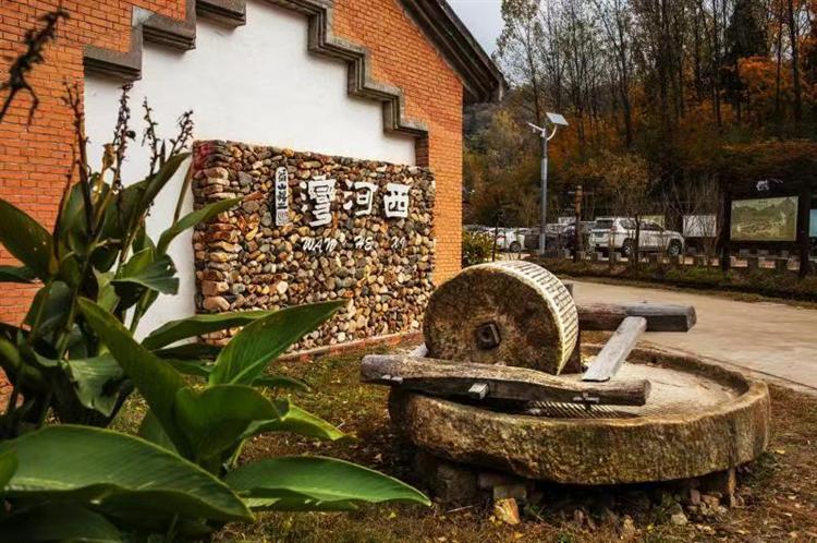 河南新县：水墨清华山水间 艺术赋能乡村兴